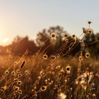 Pielgrzymka szkół im. Św. Jana Pawła II 